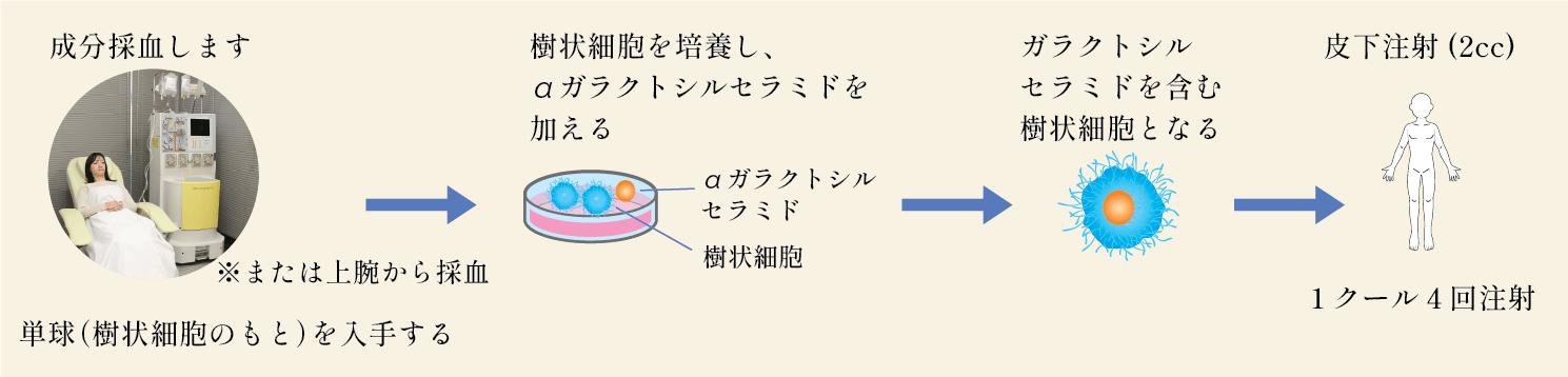 NKT細胞とは