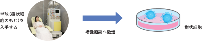 樹状細胞療法とは