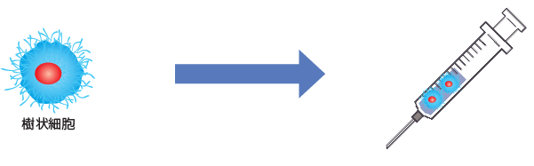 樹状細胞療法とは