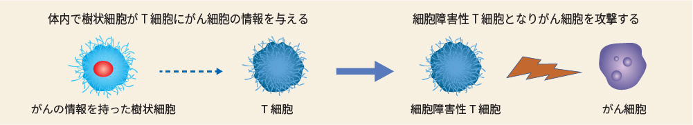 ⑤皮下注射する。（2週間に1回×６回）