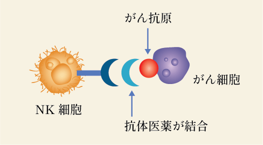 分子標的薬との併用療法